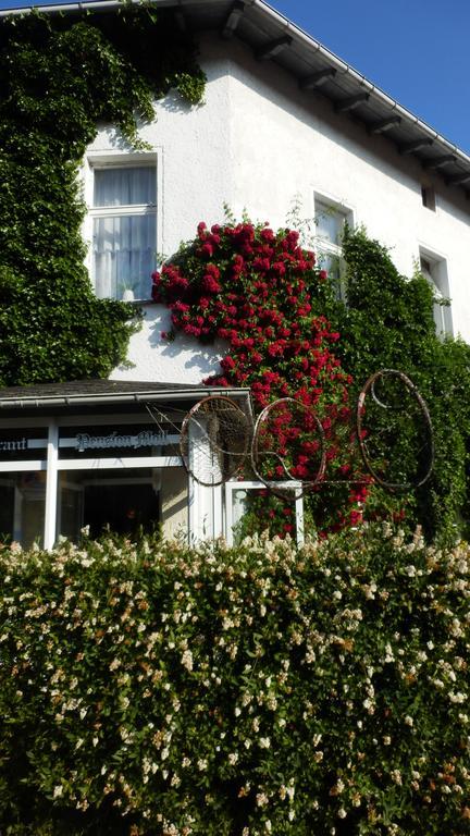 Baltisches Haus Pension Moll ツィノヴィッツ エクステリア 写真