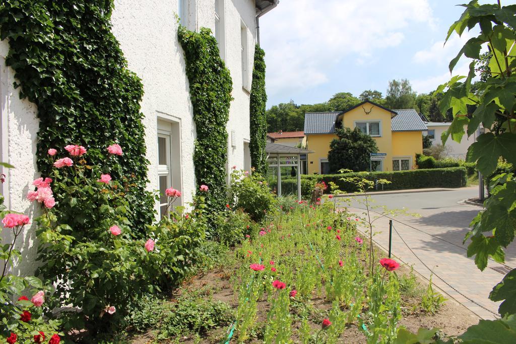 Baltisches Haus Pension Moll ツィノヴィッツ エクステリア 写真